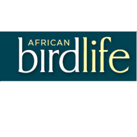 African Birdlife